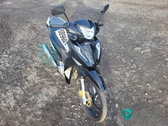LOTE 03 AVELLOZ AZ1 50 2024/2024 